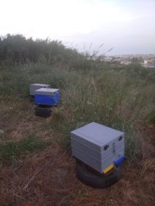 Electronic beehive in farm