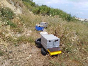 Electronic beehive in mountainous field